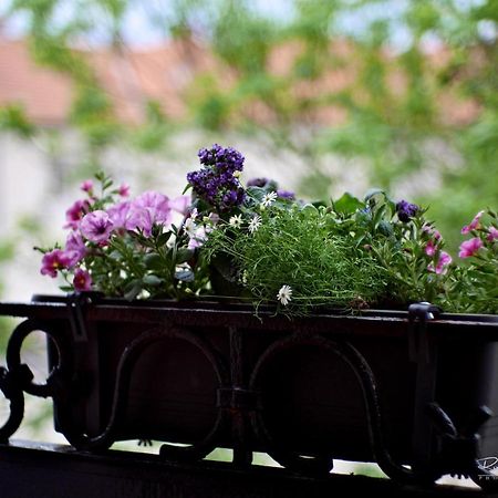 Emily Apartment Košice Εξωτερικό φωτογραφία