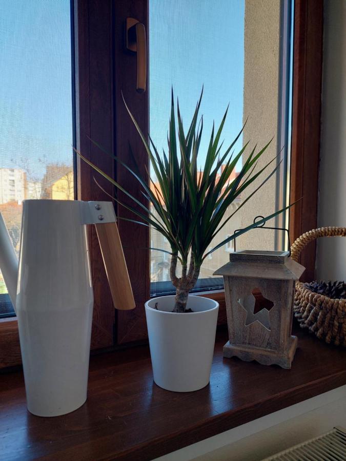 Emily Apartment Košice Εξωτερικό φωτογραφία