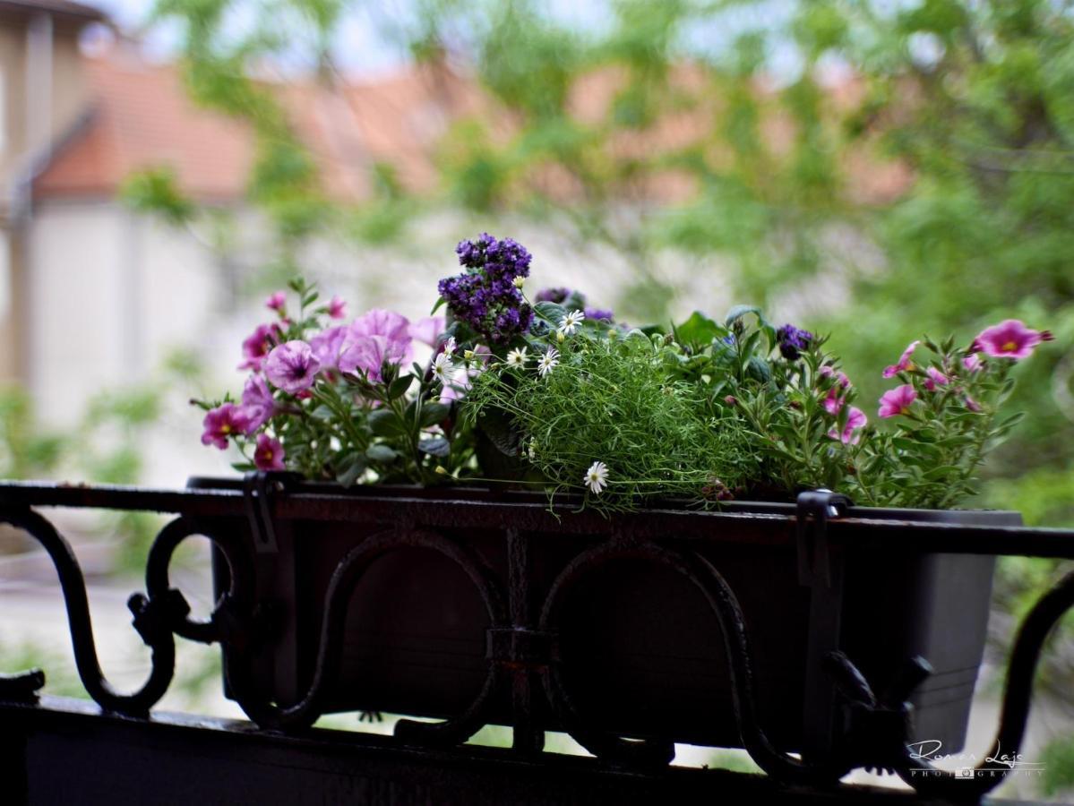 Emily Apartment Košice Εξωτερικό φωτογραφία
