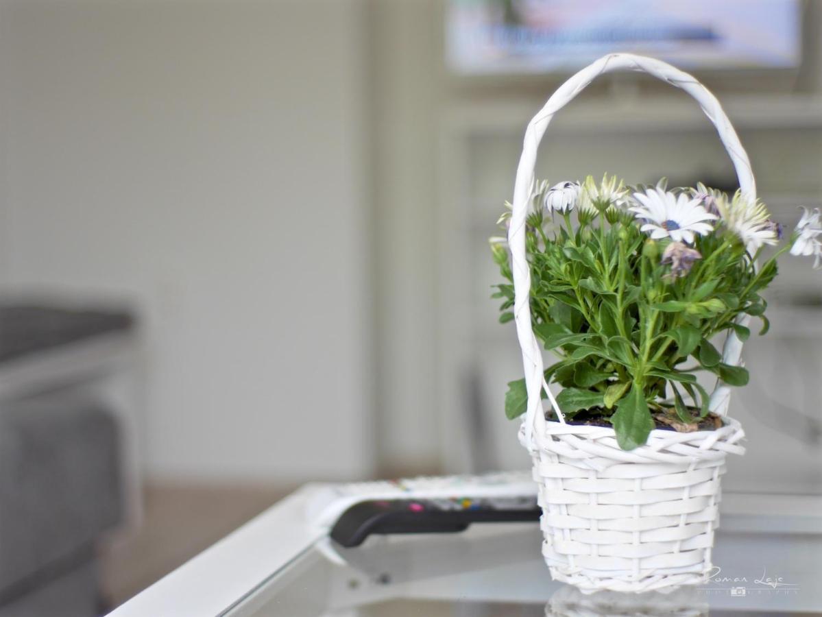 Emily Apartment Košice Εξωτερικό φωτογραφία